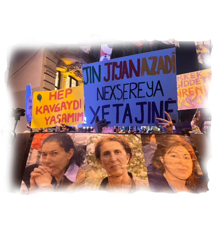 Genç Kadınların Direnişi Kar Çiçeklerinin Filizlenmesidir