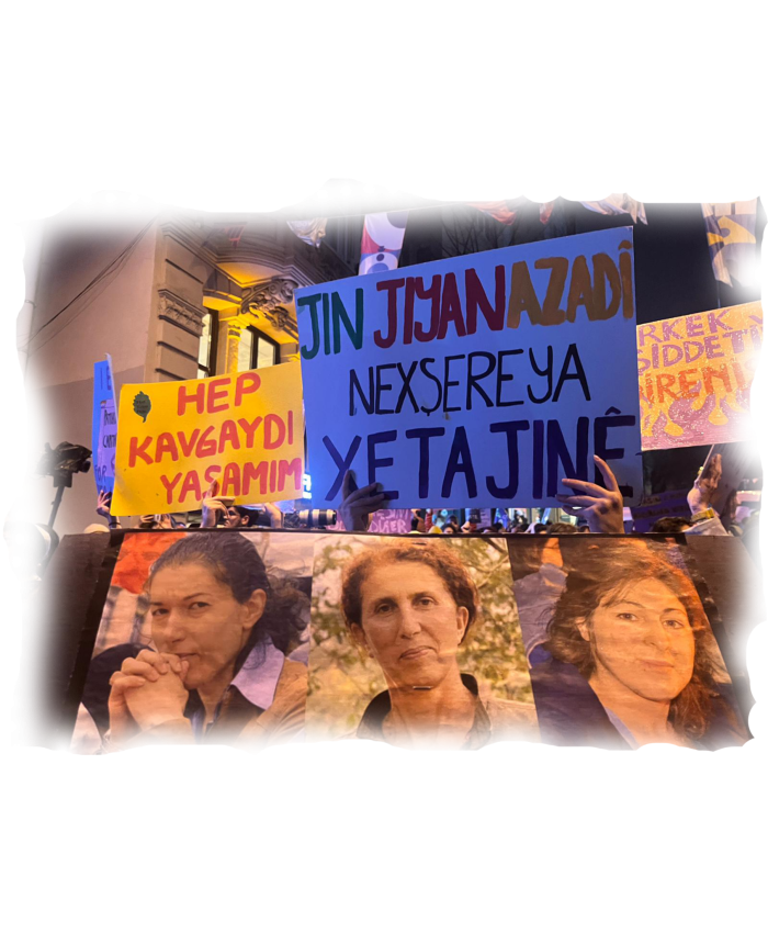 Genç Kadınların Direnişi Kar Çiçeklerinin Filizlenmesidir