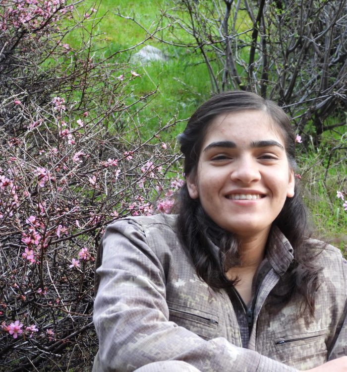 Hevpeyvîn Gerîlayeke Ezîdî Berîtan Dijwar re: