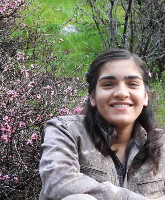 Hevpeyvîn Gerîlayeke Ezîdî Berîtan Dijwar re: