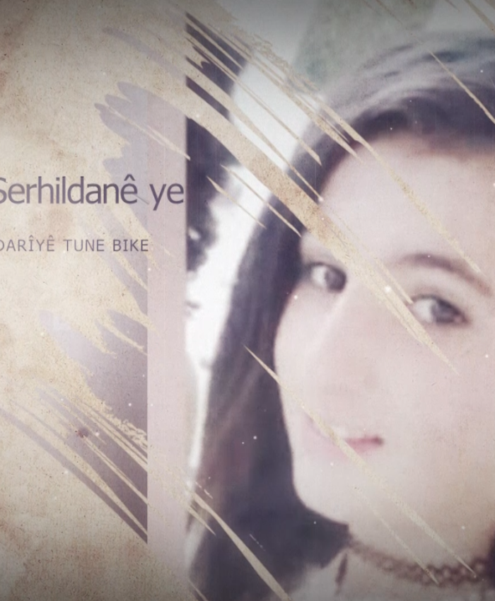 Ji Şîddeta li ser jin re na
