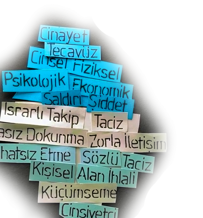 İNCEL’LİKLE YÜRÜTÜLEN KADIN DÜŞMANLIĞI