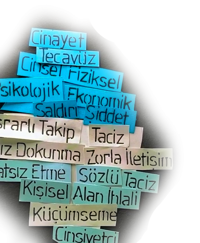 İNCEL’LİKLE YÜRÜTÜLEN KADIN DÜŞMANLIĞI