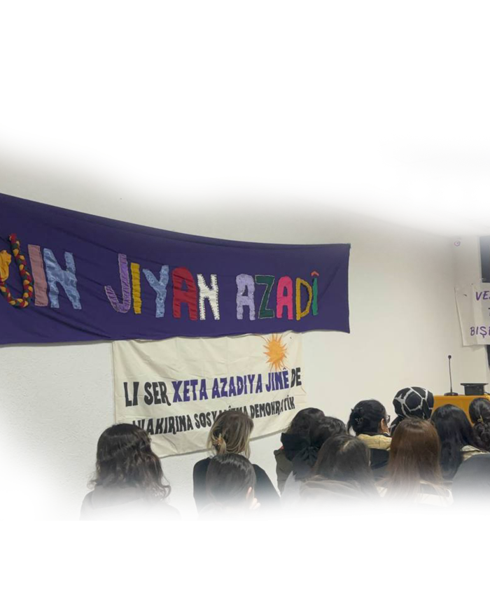 Yeni Yılı Demokratik Toplum Aşkı ile Karşılayan Tüm Genç Kadınlara!