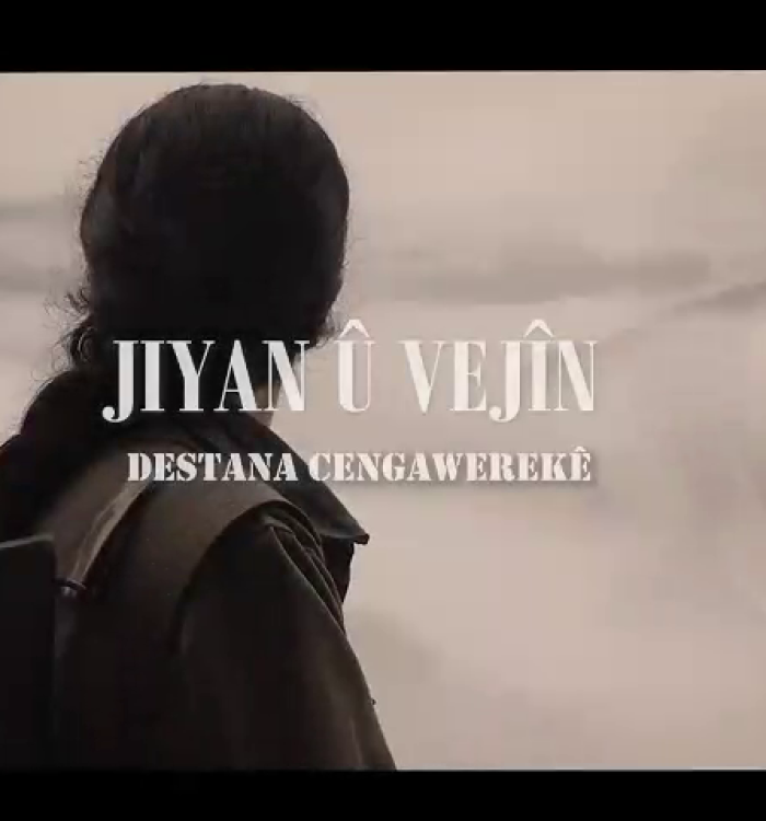 Portre: Şehit Vejîn Jiyan Anısına